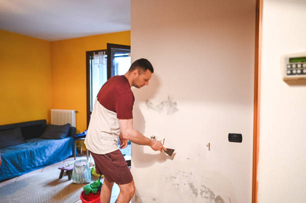 Reliable Falcon Heights, MN Mold Remediation Solutions